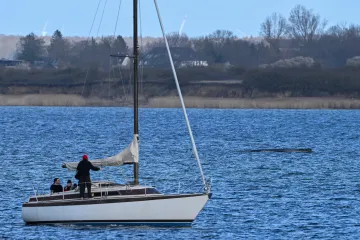 Velryba uvázlá na severu Německa má šanci se uvolnit během přílivu