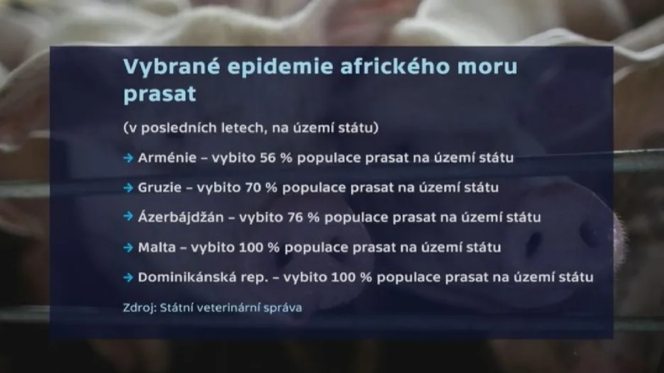 Vybrané epidemie afrického moru prasat