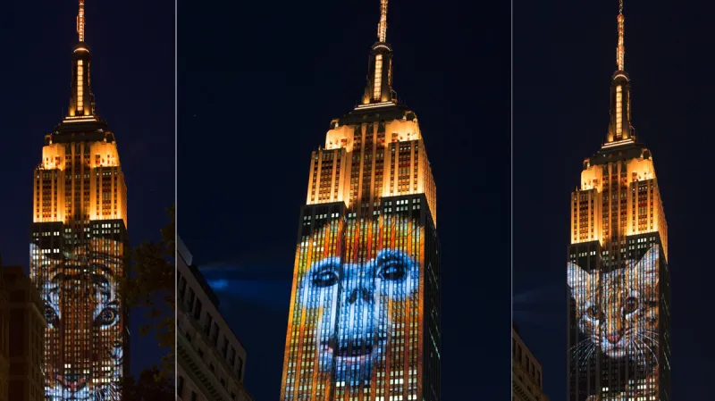 Projekce na Empire State Building