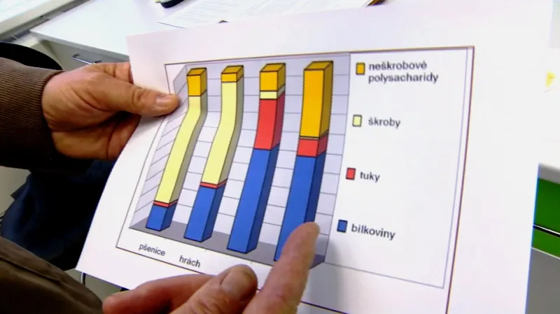 Výzkum královéhradeckých vědců zaměřený na potravinové doplňky z lupiny