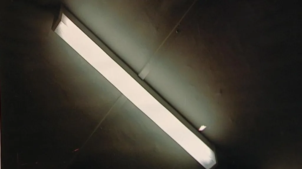 Světlo mého života