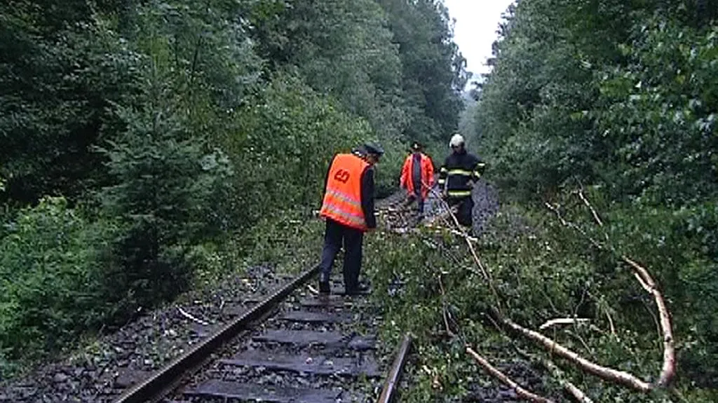 Spadlý strom na kolejích