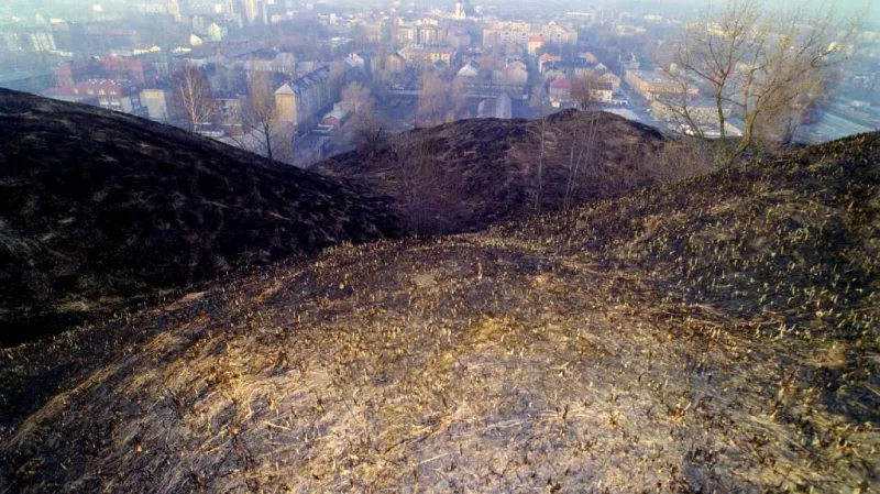 Halda Ema