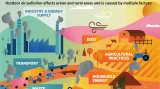 Grafiky WHO ke znečištění