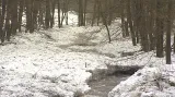 Koryto zavelené zmrzlým sněhem