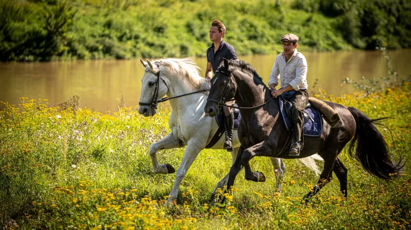 Bratři Krausovi v seriálu Českem na koňském hřbetu