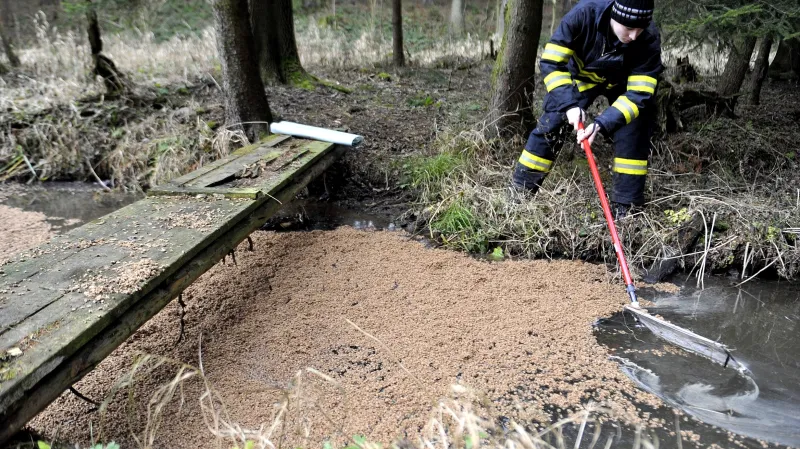 Nedaleko Knyku na Havlíčkobrodsku unikla z potrubí nafta