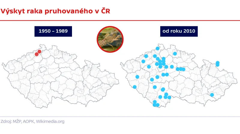 Výskyt raka pruhovaného v ČR