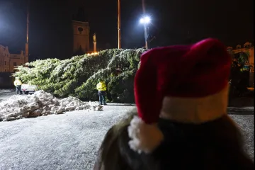 Na Staroměstském náměstí už stojí vánoční strom