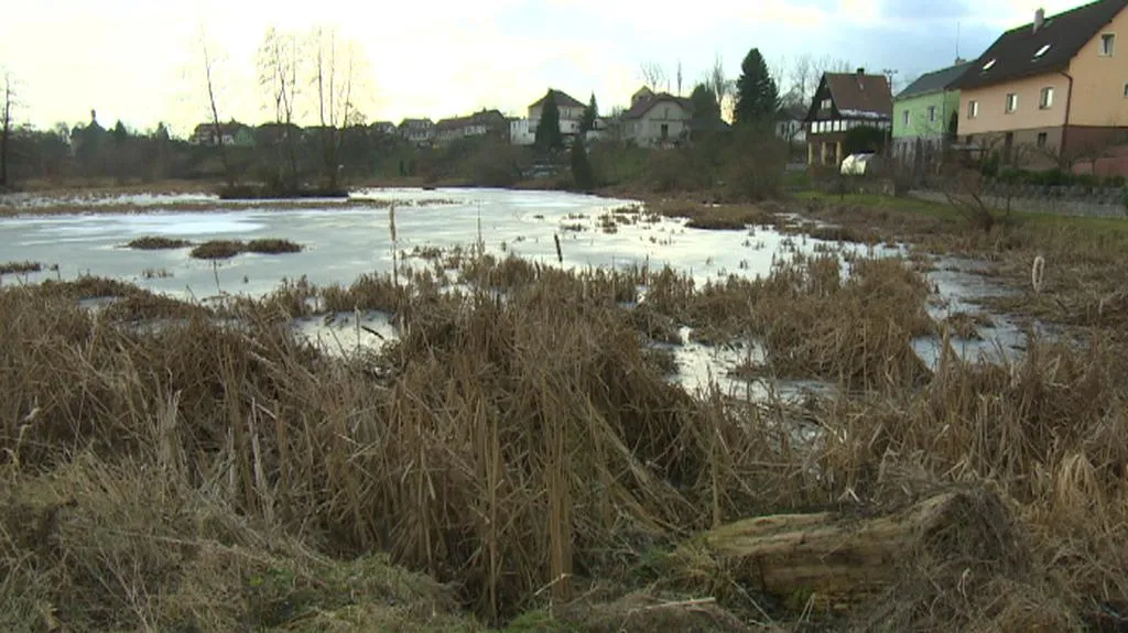 Rybník ve Šťáhlavech u Plzně