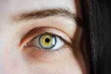 Vědci v oku poprvé našli předpoklad Parkinsonovy nemoci. Sedm let před vypuknutím