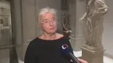 Iva Brožová hovořila o jmenování nového předsedy Ústavního soudu