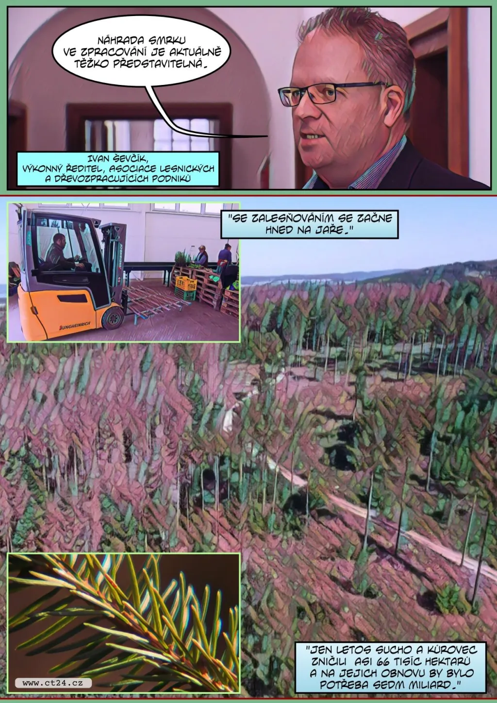 Kůrovcová kalamita postupuje lesy napříč republikou