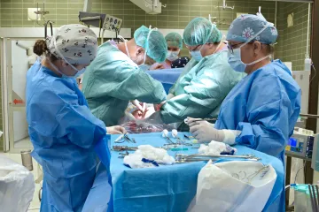 Každodenní ultrazvuk i čtení pohádek. Lékaři popsali 117 dní od mozkové smrti matky do narození její dcerky