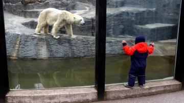 Ilustrační fotografie