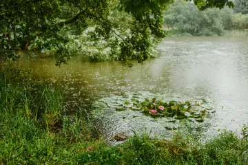 Víkend bude deštivý, teploty mohou spadnout k 15 stupňům