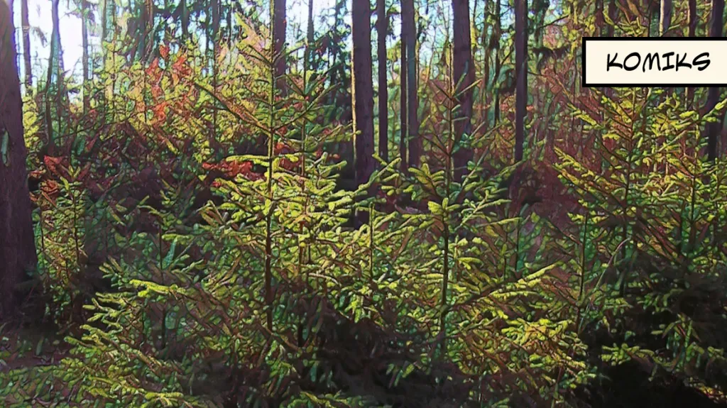 Kůrovcová kalamita postupuje lesy napříč republikou. Z Moravy se naplno přesunula na Vysočinu a do Čech