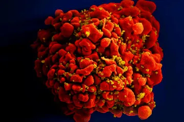 Evropská komise schválila injekci na prevenci HIV