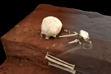 Vědci objevili nejstarší hrob v Africe. Ukazuje, že lidé už před 80 tisíci lety znali lásku i žal