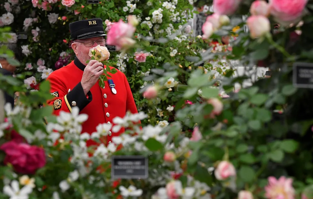 Chelsea Flower Show 2019