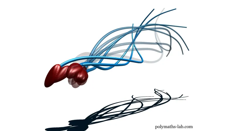 Jak se pohybují spermie