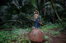 Chráněnou amazonskou půdu nabízeli na Facebooku. Brazilský soud případ vyšetřuje