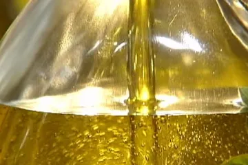 Evropské pily ohrožují Řekům posvátné olivovníky