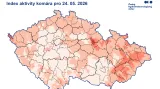 Index aktivity komára pro 24. 05. 2026