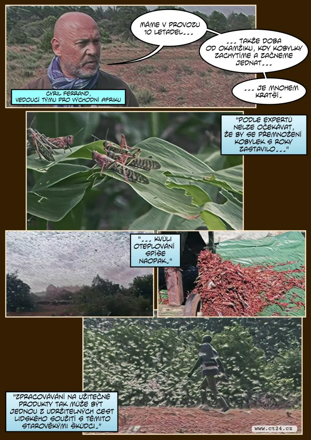 Farmáři v Keni bojují s invazí sarančat