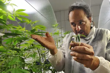 Majiteli growshopů Otipkovi propadne zabavené zboží za 12 milionů, potvrdil soud