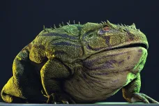 Týden ve vědě: od objevu dinosaurožravé žáby až po nejdůležitější vědecké ceny 