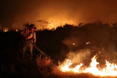 V Brazílii se letos méně kácí pralesy. O to víc jich ale pohltily požáry, ukazují satelity