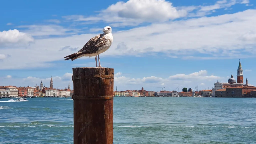 Tradičním turistickým cílem na severu Itálie jsou Benátky