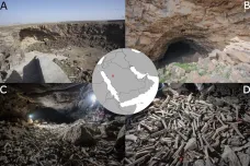 Miliony kostí v lávovém tunelu, včetně lidských. Vědci našli v Saúdské Arábii nekropoli vytvořenou hyenami