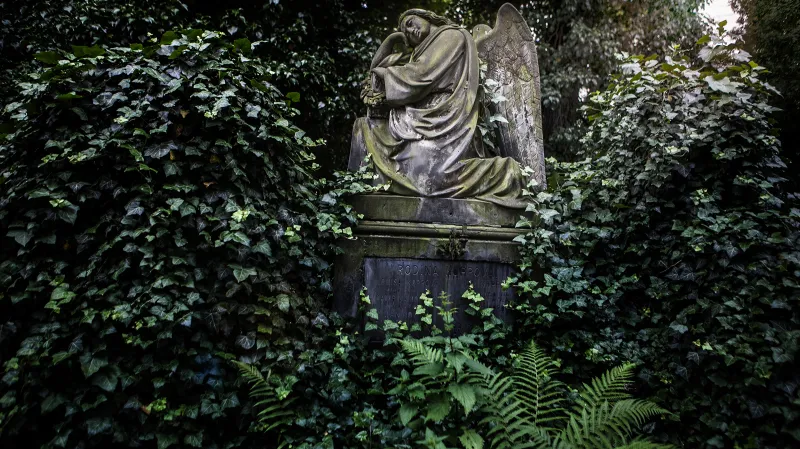 Olšanské hřbitovy