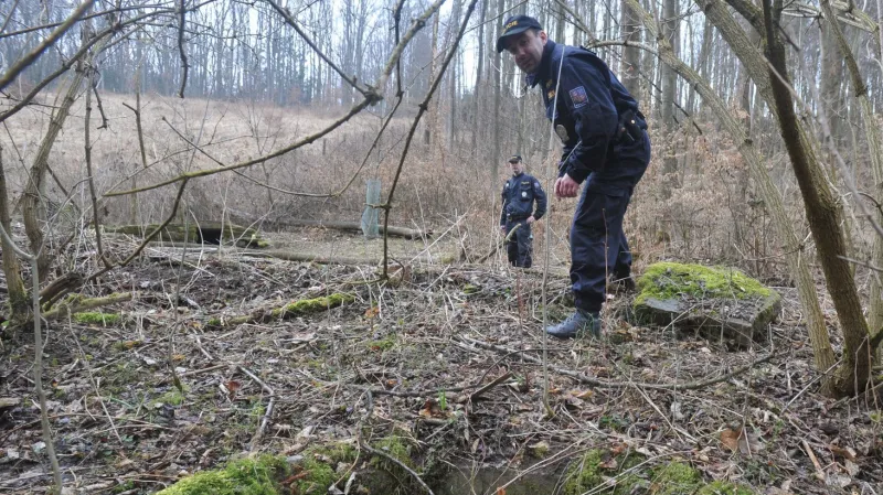 Pátrání po Elišce