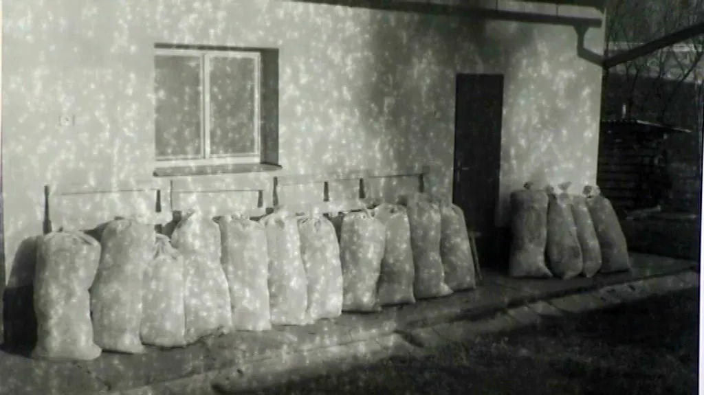 Výstava Michala Kalhouse v PLATU