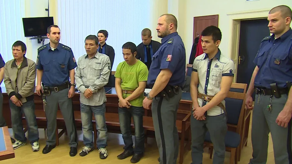 Soud odsoudil šestičlenný gang pěstitelů