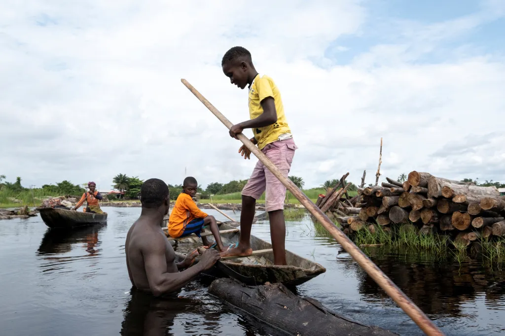 Nelegální těžba dřeva decimuje lesy v Nigérii