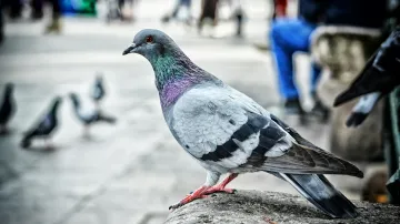Ilustrační foto