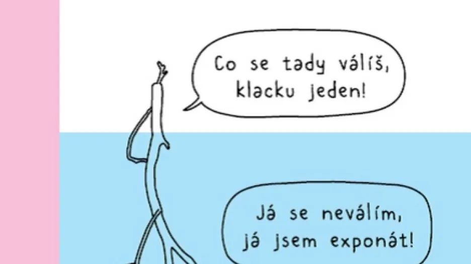 obrázek