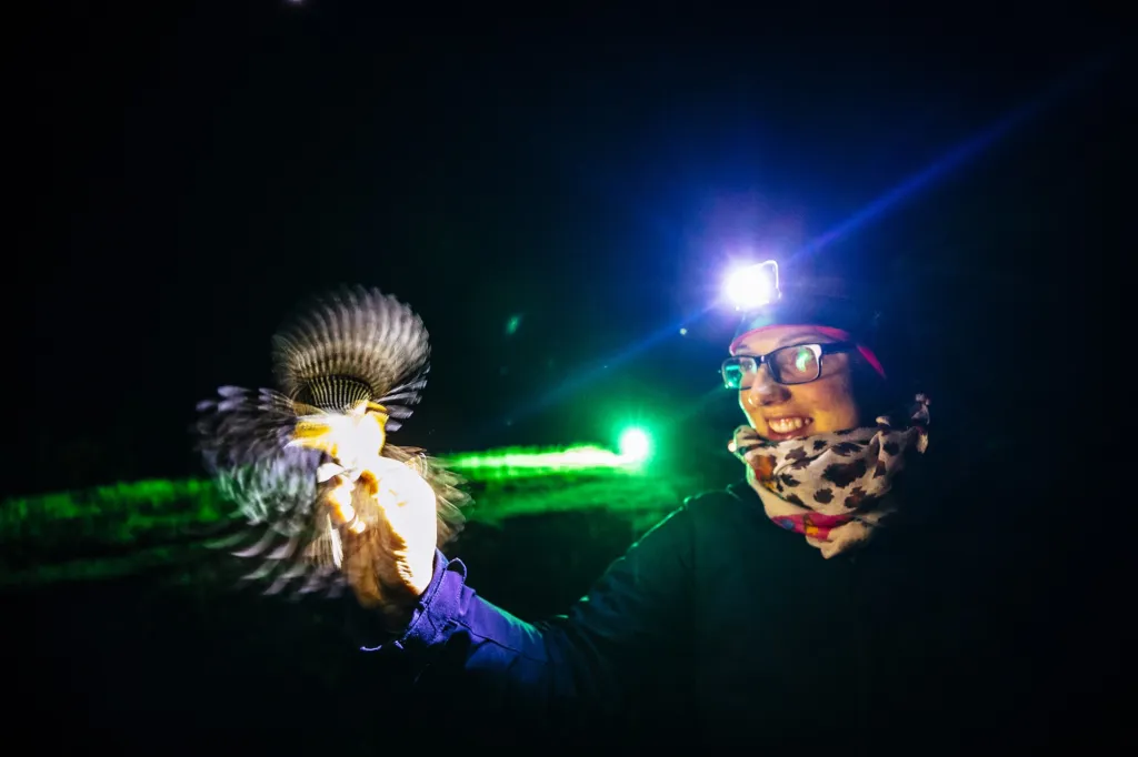 Vítěz Czech Press Photo 2019 v kategorii „Člověk a životní prostředí“. Petr Topič za soubor fotografií „Ptačí hlídka“