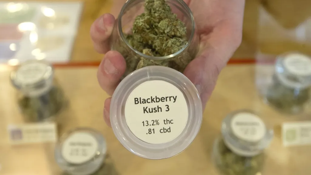 Marihuana pro lékařské účely