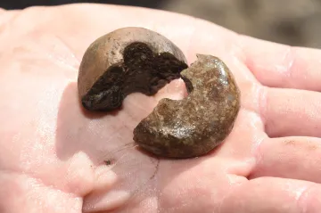 Archeologové prozkoumali místo posledního úseku D1 u Přerova. Našli šperky, mince i neobvyklé hroby