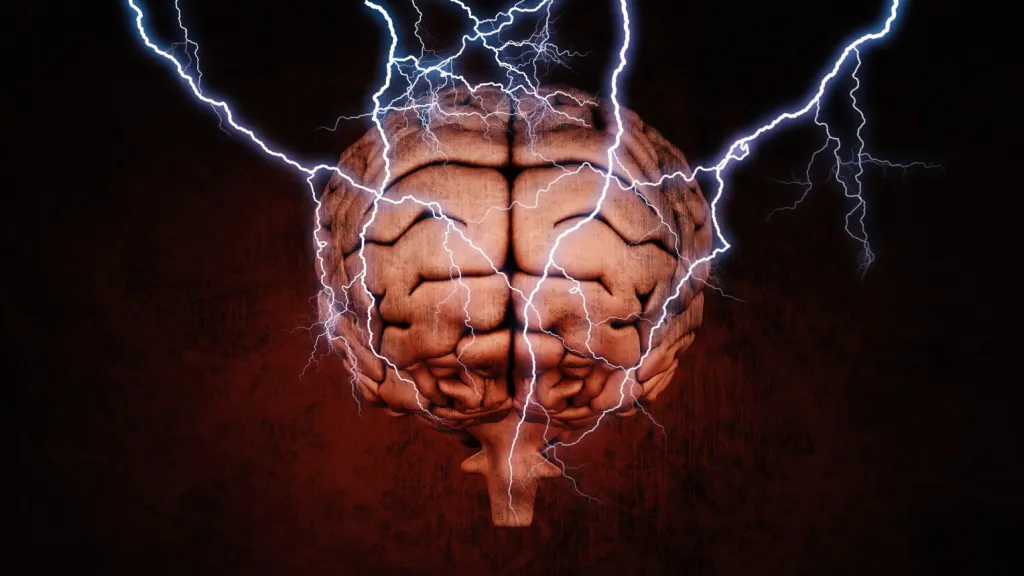 Lidský mozek