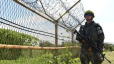 Demilitarizovaná zóna mezi Korejemi je domovem řady druhů vzácných zvířat