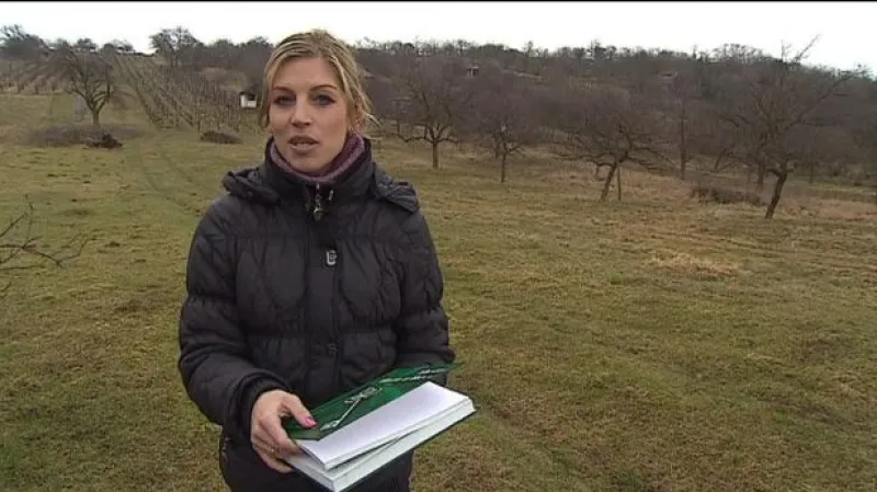 Reportáž Hedviky Dědkové