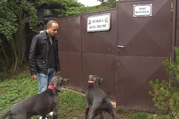 Psím podnikatelům se daří, pejskaři své miláčky stále více hýčkají
