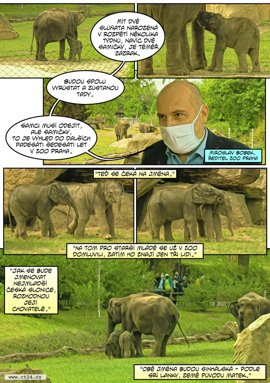 Pražská zoo ukázala druhé slůně