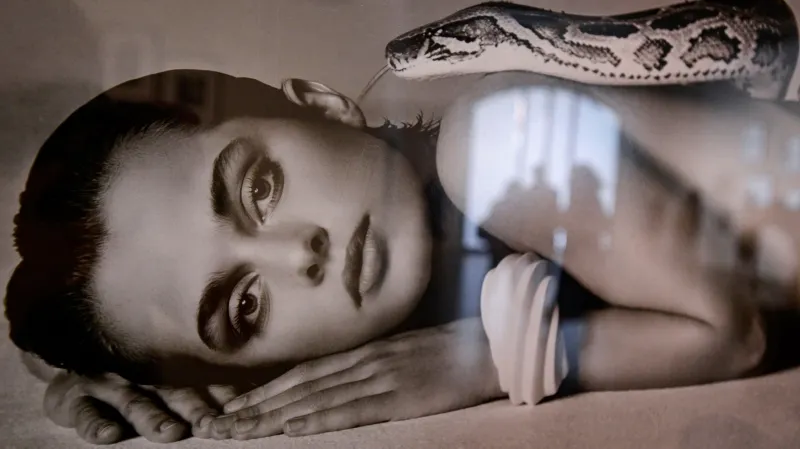 Z výstavy Helmut Newton in Dialogue